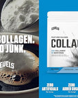 Levels Collagen Peptides, No Artificial Ingredients, 11G of Collagen, Unflavored, 1LB