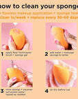 Real Techniques Ultimate Makeup Sponge Trio, Makeup Blending Sponges, For Liquid, Cream, & Powder Products, Powder & Foundation Sponges, Mini Makeup Sponge, Latex-Free Foam, Travel-Friendly, 3 Count