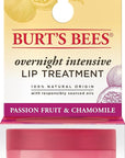 Burt's Bees Overnight Lip Sleeping Mask,