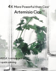 Hanyul pure artemisia calming toner