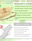 Vietnamese Natural Loofah Back Scrubber - 100% Plant-Based Exfoliation Shower Sponge, Handcrafted Whole Loofah Gourd with Jute Fiber Handle, Suitable for Men & Women (1-Pack)