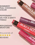 Burt's Bees Lip Shimmer Pink Collection, Tinted Lip Balm Stick, Moisturizing for All Day Hydration with Natural Glowy Pigmented Finish & Buildable Color, 3 Shades; Value Pack, 3 Tubes x 0.09 Oz