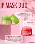 Apple, Pear, Cherry & Mint Lip Mask and Scrub - Dermatologist Tested, Hydrating & Exfoliating, Korean Skin Care, Nourishes, Softens & Brightens Lips - Vegan & Natural - 1 Pack