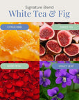 White Tea & Fig Aroma Oil, Essential Oils Blend for Diffusers & Scent Machines,Elegant Floral & Tea Blend with Citrus, Aromatherapy, Cold Air Diffuser Compatible, 300 mL