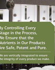 Standard Process Collinsonia Root - Whole Food Vascular Supplement, Digestive Health, Bladder Support, Digestion, and Kidney Support with Collinsonia Root -150 Capsules