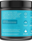 WellPath Renew Multi Collagen Protein Powder for Women | Hair, Nails, Skin | Hydrolyzed Grass-Fed Bovine, Marine, & Chicken Sources Collagen Peptides | Types I, II, III, V, X | 11 oz | 40 Servings