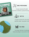 Otter co. Anti Dandruff Tea Tree Shampoo Bar – Nettle, Zinc, Green Tea, Apple Cider Vinegar, Anti Fungal Shampoo – Vegan, Natural, Cruelty & Sulfate Free – All Hair Types & Dry Scalp, USA Made