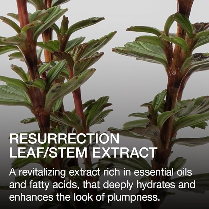 Ogee Beyond Clean Lip Gloss - Certified Organic Lip Gloss for Women - Effortlessly Plump, Hydrate & Add High-Shine Color, Thistle - Sheer Vibrant Pink