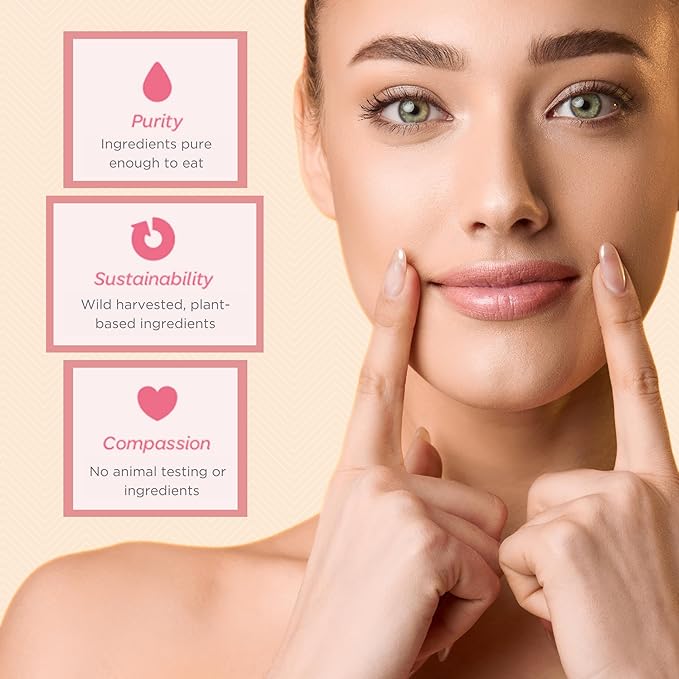 Ellovi Natural Lip Butter Lip Balm - Vanilla - Pure Enough to Eat - Made With Just 6 Vegan Ingredients - 100% Natural & Organic Moisturizing Lip Care for All Day Hydration (4-Pack)