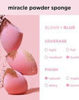 Real Techniques Ultimate Makeup Sponge Trio, Makeup Blending Sponges, For Liquid, Cream, & Powder Products, Powder & Foundation Sponges, Mini Makeup Sponge, Latex-Free Foam, Travel-Friendly, 3 Count