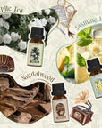 Hotel Fragrance Oils Set, Essential Oil Gift Set for Diffuser, Hotel Scent Diffuser Oil, Diffuser Scents Oil for Home, White Tea, Jasmine Mint, Sandalwood, Luxury Night, Seaside, Myway