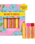 Burt's Bees Gifts Ideas - In Full Bloom Lip Balm Set, Original Beeswax, Dragonfruit Lemon, Tropical Pineapple & Strawberry, Natural Origin Lip Treatment, 4 Tubes, 0.15 oz.