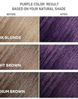 Herbal Instant Purple Hair Dye Shampoo - 3 in 1 Long Lasting Hair Color for Women and Men, Colors in Minutes, Shampoo Para Canas