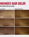 Revlon ColorSilk Tone + Gloss + Care Demi Permanent Hair Color, Dye Kit with Leave-In Scalp and Haircare Serum, 2x Shinier, 4x Stronger, 6G Light Golden Brown, 4.5 fl oz