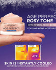 L'Oreal Paris Age Perfect Rosy Tone Anti-Aging Cooling Night Moisturizer 1.7 oz