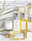 Antica Farmacista Hand Wash -Lemon, Verbena & Cedar, 10 Fl Oz (Pack of 1)