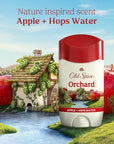 Old Spice Dry Feel Antiperspirant Deodorant for Men, 24/7 Long Lasting Freshness, 24/7 Sweat & Odor Protection, Gentle on Skin with Skin Conditioners, Orchard with Apple & Hops Water Scent, 2.6 oz