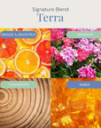 Terra Aroma Oil, Essential Oils Blend for Diffusers & Scent Machines, Upscale Wood & Amber with Citrus Accents, Aromatherapy, Cold Air Diffuser Compatible, 300 mL