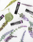 Moroccan Magic Organic Lavender Vanilla Lip Balm 3 Pack | Ultra-Hydrating Argan & Essential Oil Lip Moisturizer + Vitamin E | Natural Chapstick for Dry Lips | Smooth, Non-Toxic | Organic Lip Balm