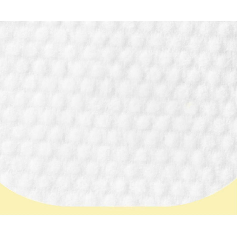 Ariul The Perfect Cleansing Oil Pad EX 60 Sheets